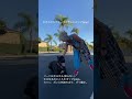 ポップ(pop) 力で犬を動かさない。#shorts