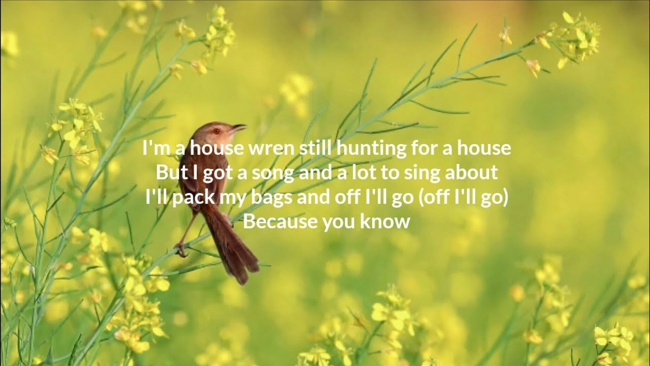 Owl City House Wren Lyrics YouTube