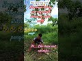 pangit Ng sayaw mo!!!! #funny #followers #highilts #fun #followers #comedy #funnyvideo