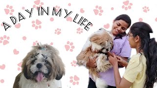 A day in my life🐶🐾|| Look who's here?🤩🥳 #youtube #shihtzu #love #lifestyle