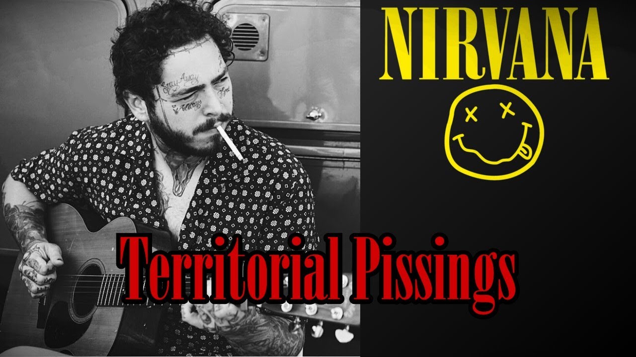 Nirvana territorial. Territorial pissings Nirvana. Stay away Nirvana.