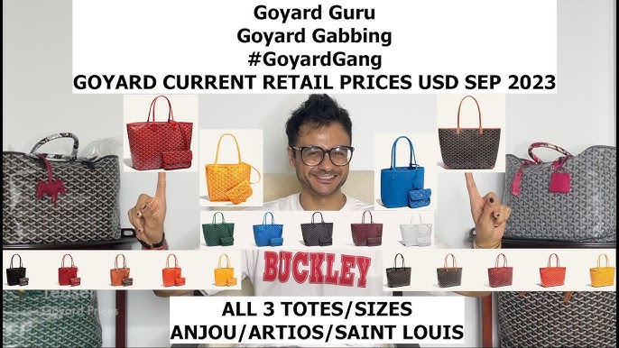 ANJOU PM BAG Maison Goyard