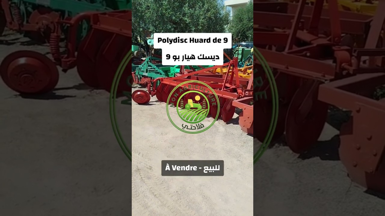 Polydisc Huard de 9 | ديسك هيار بو 9 