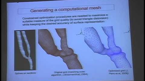 IMA Public Lectures:Mathematical modeling in medicine,sports, and the environment; Alfio Quarteroni