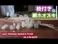 【枝付き網ほおずき】簡単!水に浸けるだけ How to make lace Chinese lantern fruit