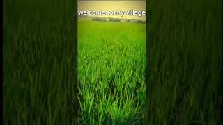 #welcome to my village🔥❤️‍🩹