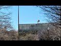 Echo-y Federal Signal 2001-130 Test | 90 Second Attack | Dallas, Tx | 3/5/25