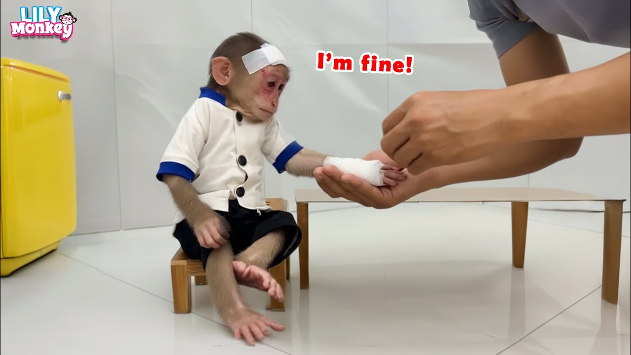 Oh no!!! What terrible thing has Lily been through? | Lily's story