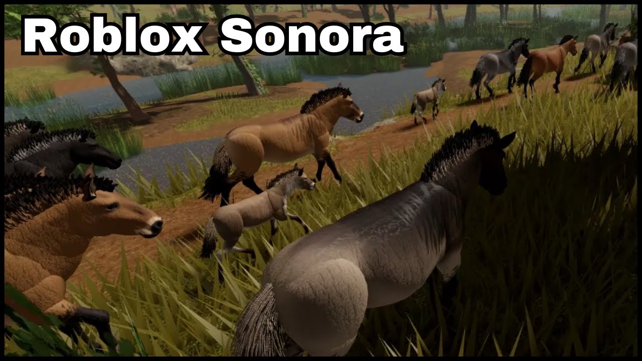 Being Chased Out Of A Ancient Horse Herd | Sonora