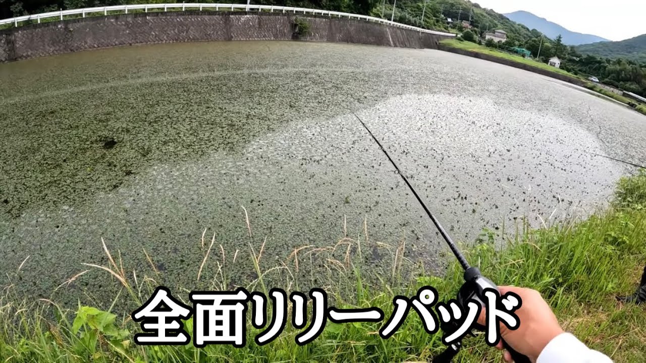 この中からモンスターブチ抜きます