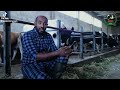Introduction about anan dairy farm ethiopan dairy farms