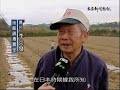 灣寶的故事 最後的春耕？ 1