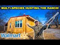 MULTI-SPECIES Hunting with Walmart’s CHEAPEST Gun!!! (Catch Clean Cook)