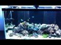 Follow up to aquarium cabinet Follow up to aquarium cabinet