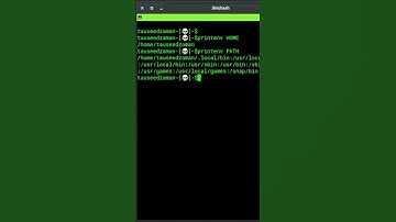 Which env to Display ✨   // Master Linux #62 #shorts #linux