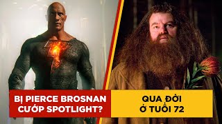 Phê Phim News: Bác HAGRID qua đời ở tuổi 72 | REVIEW sớm BLACK ADAM