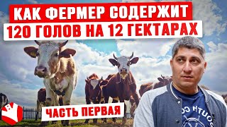 Как фермер содержит 120 голов на 12 гектарах? | Обзор фермы | Молочное животноводство