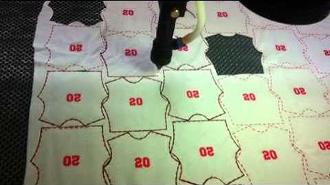 AOL High speed CCD Camera laser engraving and cutting machine