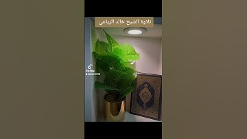 ١ نوفمبر ٢٠٢٢تلاوة خاشعة الشيخ خالد الرياعي