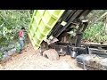 Dump truck Hino Dutro Amblas"Bongkar Tanah Penimbunan Kolam Rawa.