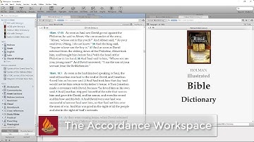 The Accordance Workspace