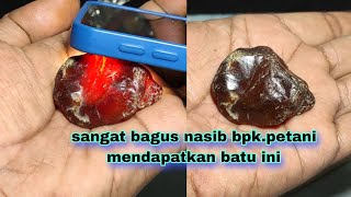 Sangat Bagus Nasib Bpkpetani11 Februari 2026