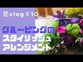 【フラワーアレンジメント】/花のある暮らし /花vlog＃10 『花をグループ同士にまとめたアレンジ』
