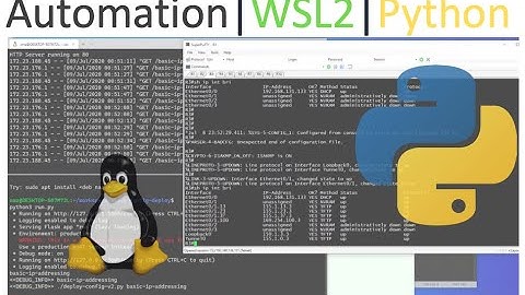 Python Automation | WSL2 | Eve-NG