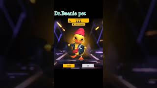 Dr.beanie Pet Purchase In Fire Max