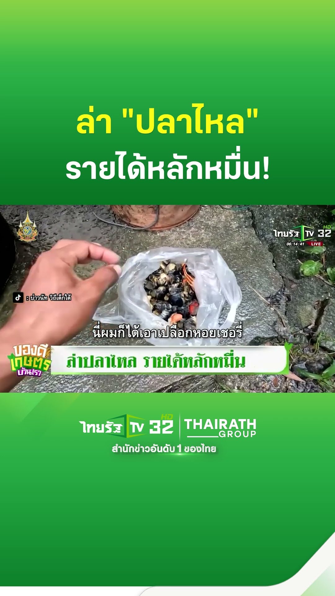 ล่าปลาไหล รายได้หลักหมื่น! : ของดีเกษตรบ้านเรา | ThairathTV