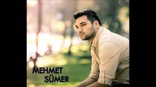 Mehmet Sümer - Suzan Suzi Resimi