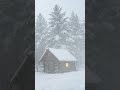 Snowstorm Wind White Noise for Meditation, Relax Sleep #shorts #snow #viral #storm #fyp