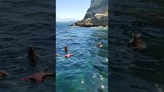 Snorkel Faro del Caballo