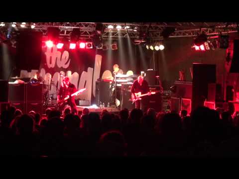 the stranglers live @ viper 20120417 2