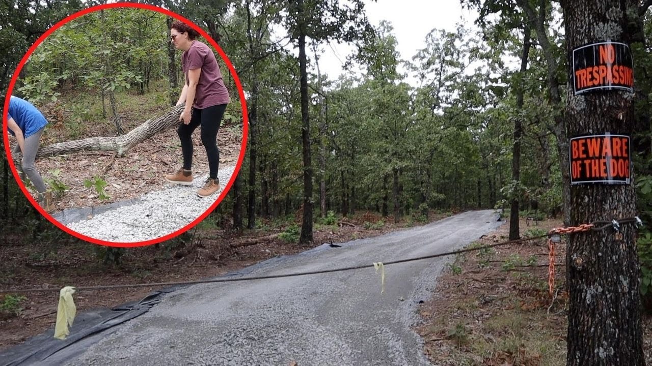 Наконец-то остановим этих нарушителей на их пути! Вне сети