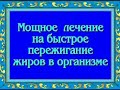 Орис. Лечебные сеансы. Мощное лечение на быстрое пережигание жиров в организме