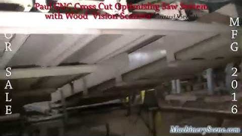Paul CNC Cross Cut Optimizing Saw System with Wood Vision Scanner - Ground Level Video 2