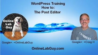 WordPress Tutorials  The Post Editor