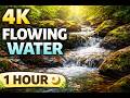 4K Flowing Water Ambience | 1 Hour Nature Sounds for Relax, Study &amp; Sleep | LoFi study focus #M