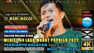 LAGU MURUT MEDLEY / LAGU MURUT NONSTOP / PERDIANTO LAGU HITS SI MAMI MARAH / DAYAK KALIMANTAN / IJM