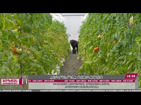 იმერეთში აგროკლასტერის შექმნის კონცეფციაზე მუშაობა იწყება