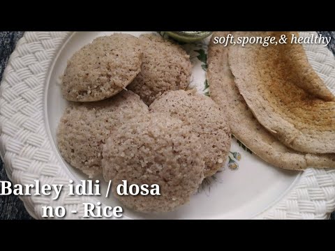 Barley idli  recipe - no rice - barely dosa for weight loss breakfast recipe -  barely recipe | Healthy and Tasty channel