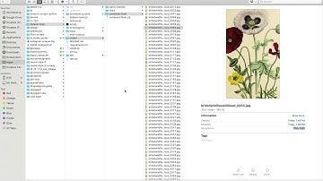 Training a non-square StyleGAN2 model on GCP