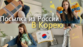 Долгожданная посылка в Корею из России от мамы / Распаковка / Korea Vlog