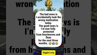 Download Lagu Took The Wrong Pills — But At Least I’m Safe From Fleas For Three Months#funny  #joke #humor MP3