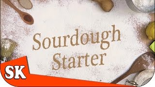 SOURDOUGH STARTER - Introduction to Bread Making