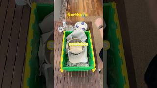 The Best Way to Pack Pots and Pans for Moving Net Worth