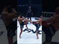 Andi Vrtacic highlights #mma #ksw #fnc #highlight #knockout #viral #fyp #reel