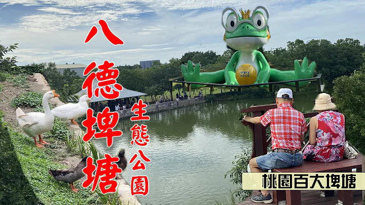 八德埤塘生態公園 野餐踏青 賞鳥漫步桃園埤塘代表景點 - 天天要聞