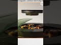 Electromagnetic Levitation  intresting Device 😱😳😦#science #device#sort #magnet#electromagnetic